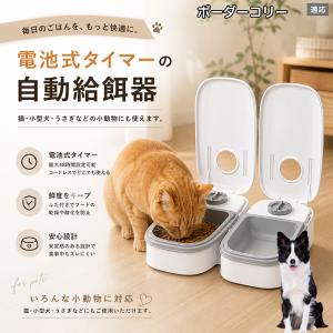 ボーダーコリー犬 ボーダー 自動給餌器 タイマー式 犬 猫 1食 2食 自動餌やり機 電池式 留守番 ペット 小動物