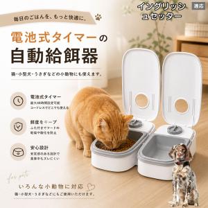 イングリッシュセッター犬 イングリッシュ 自動給餌器 タイマー式 犬 猫 1食 2食 自動餌やり機 電池式 留守番 ペット 小動物
