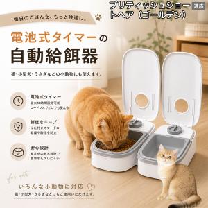 ブリティッシュショートヘアゴールデン猫 自動給餌器 タイマー式 犬 猫 1食 2食 自動餌やり機 電池式 留守番 ペット 小動物