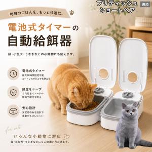 ブリティッシュショートヘア猫 ブリショ 自動給餌器 タイマー式 犬 猫 1食 2食 自動餌やり機 電池式 留守番 ペット 小動物