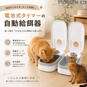 アビシニアン猫 アビ 自動給餌器 タイマー式 犬 猫 1食 2食 自動餌やり機 電池式 留守番 ペット 小動物