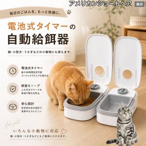 アメリカンショートヘア猫 アメショ 自動給餌器 タイマー式 犬 猫 1食 2食 自動餌やり機 電池式 留守番 ペット 小動物