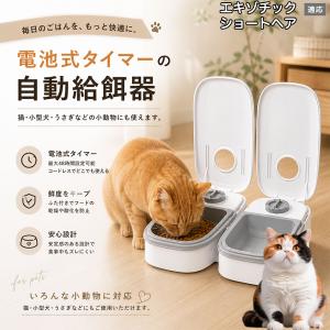 エキゾチックショートヘア猫 エキゾ 自動給餌器 タイマー式 犬 猫 1食 2食 自動餌やり機 電池式 留守番 ペット 小動物