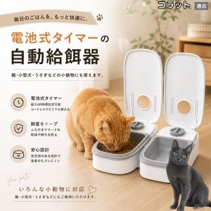 コラット猫種 コラット 自動給餌器 タイマー式 犬 猫 1食 2食 自動餌やり機 電池式 留守番 ペット 小動物