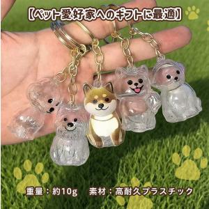猫の毛収納ボトル ペット 遺毛 ケース 透明 ...の詳細画像2