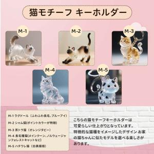 猫の毛収納ボトル ペット 遺毛 ケース 透明 ...の詳細画像4