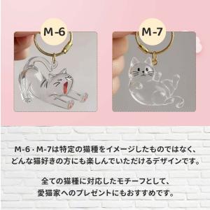 猫の毛収納ボトル ペット 遺毛 ケース 透明 ...の詳細画像5