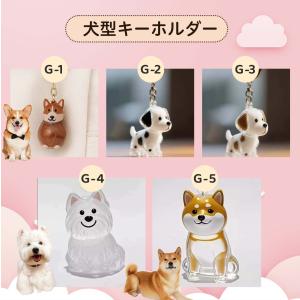 犬の毛収納ボトル ペット遺毛ケース 透明遺毛入...の詳細画像4