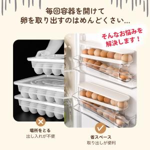 卵収納ボックス自動ローリング 2段エッグラック...の詳細画像1