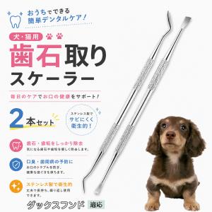 犬 スケーラー 歯石取り ペンチ 器具 ペット用 デンタルケア 口臭予防