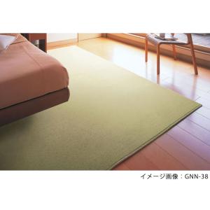 カーペット 生地サンプル ニューワーゲン サンプルの詳細画像2