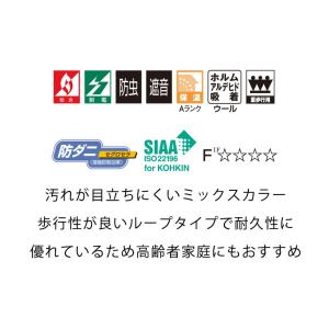 カーペット 生地サンプル ニューワーゲン サンプルの詳細画像5
