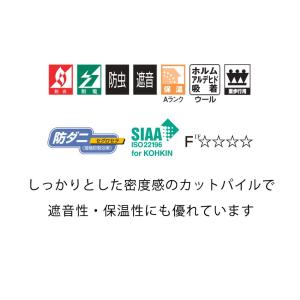 カーペット 生地サンプル ニューアスノーブル ...の詳細画像4