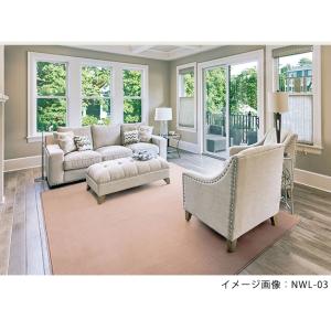 カーペット 生地サンプル ニューウールポリッシ...の詳細画像3