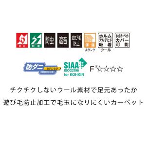 カーペット 生地サンプル ニューウールポリッシ...の詳細画像4
