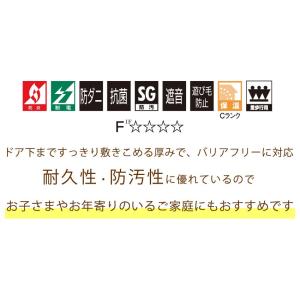 メール便・アスシャリオ2 YESカーペット サンプルの詳細画像2