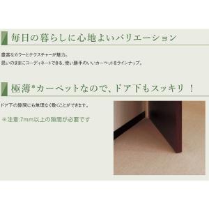 メール便・アスシャリオ2 YESカーペット サンプルの詳細画像4