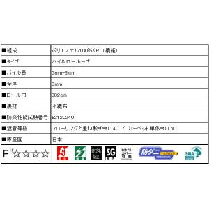 メール便・ニューアスワールド YESカーペット...の詳細画像2