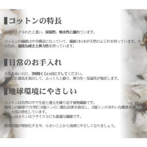 座布団 中身 座布団ヌード 45×45 45角...の詳細画像3