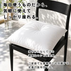 座布団 中身 座布団ヌード 55×59 銘仙判...の詳細画像5