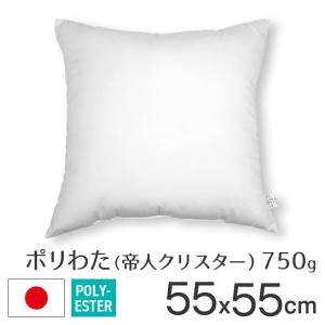 fabrizm ヌードクッション クッション 中身 圧縮 50×50 50角