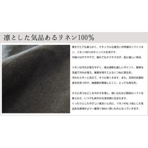 【在庫処分価格】エプロン おしゃれ かわいい ...の詳細画像2