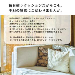 ヌードクッション クッション 中身 55×55...の詳細画像1