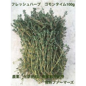 神奈川県産　フレッシュハーブ【コモンタイム】100g 農薬、化学肥料、除草剤不使用（ハーブティー　野菜　サラダ　生　業務用　スパイス）｜jonetsufarmers