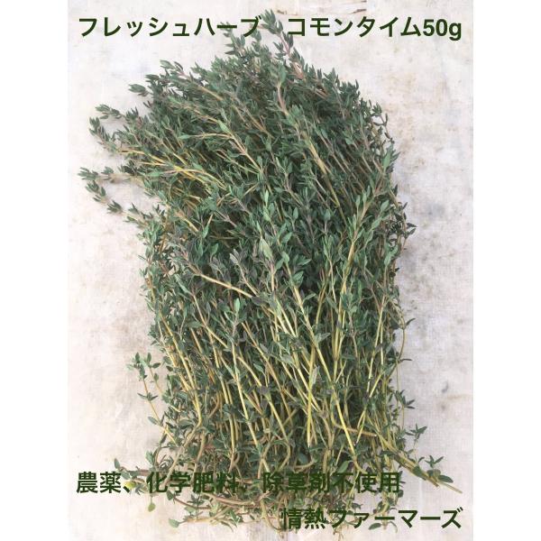 神奈川県産　フレッシュハーブ【コモンタイム】50g 農薬、化学肥料、除草剤不使用（ハーブティー　野菜...