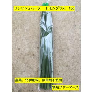 神奈川県産　フレッシュハーブ【レモングラス】15g 農薬、化学肥料、除草剤不使用（ハーブティー　野菜　サラダ　生　業務用　スパイス）｜jonetsufarmers