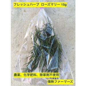 神奈川県産　フレッシュハーブ【ローズマリー】15g 農薬、化学肥料、除草剤不使用（ハーブティー　野菜　サラダ　生　業務用　スパイス）