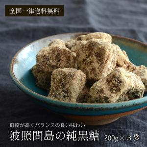 波照間島の純黒糖 200g×3袋 さとうきび100％の黒砂糖