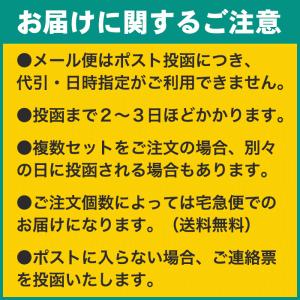 黒糖しょうがパウダー 160g×2袋 沖縄産黒...の詳細画像2