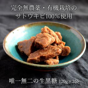 生黒糖 120g×3袋 自然栽培さとうきび使用の純黒糖
