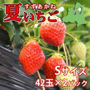 夏秋いちご すずあかね（Ｓサイズ）42玉×2合計84玉（送料別）
