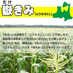 予約販売 嶽きみ(だけきみ)とうもろこし10本...の詳細画像1