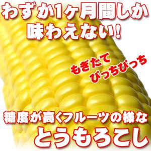 予約販売 嶽きみ(だけきみ)とうもろこし10本...の詳細画像3