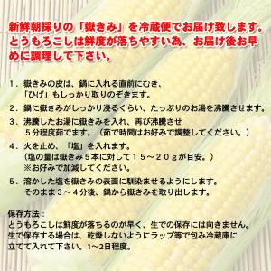 予約販売 嶽きみ(だけきみ)とうもろこし10本...の詳細画像4