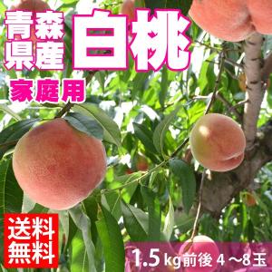 白桃 伊達白桃(家庭用)1.7kg前後4〜6玉(送料無料)訳...