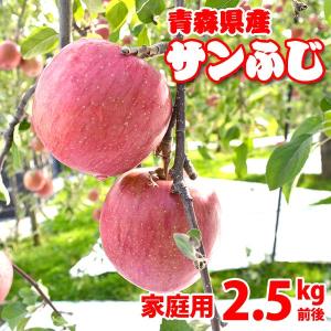 青森りんごサンふじ（家庭用）2.5kg前後10玉　農家直送（サイズ不揃い）訳ありリンゴ