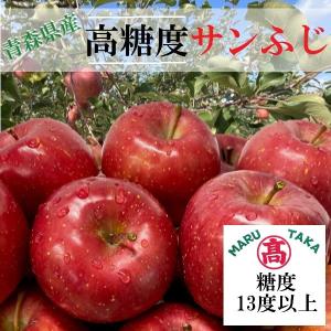 青森りんご 高糖度 サンふじりんご 約5kg 20玉 秀品 サンふじ 高糖度 青森県産りんご リンゴ 高木りんご商店
