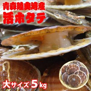 活ホタテ 送料無料 青森陸奥湾産 ほたて（大）5kg 約30枚前後 ホタテレシピ付 青森ほたて