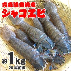 シャコエビ約１ｋｇ ２０尾前後（浜茹で）青森陸奥湾産しゃこえび
