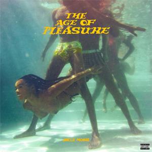 THE AGE OF PLEASURE【輸入盤】▼/ジャネール・モネイ[CD]【返品種別A】