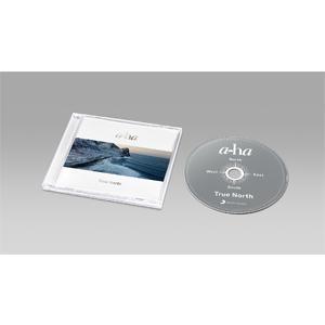 良盤 美ジャケ 1981年 国内盤 OST LPレコード ミスター・アーサー