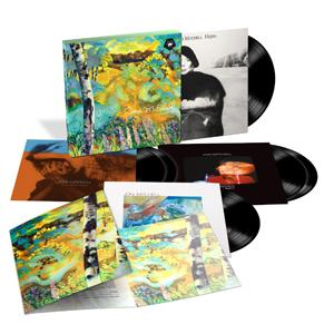 THE ASYLUM ALBUMS 1976-1980 [6LP 180GRAM VINYL]【アナ...