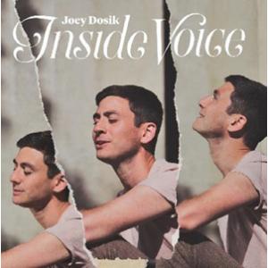 Joey Dosik Inside Voice CD