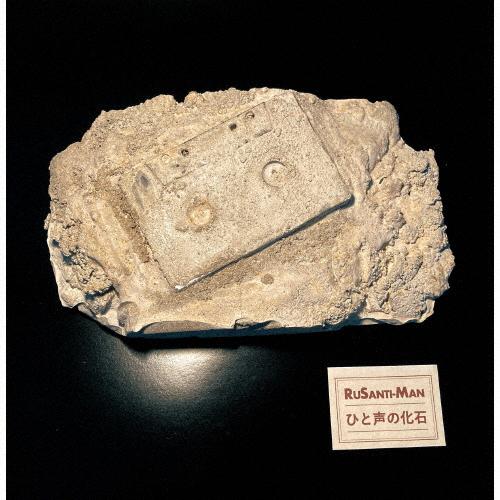 ひと声の化石/rebury/ルサンチマン[CD]【返品種別A】