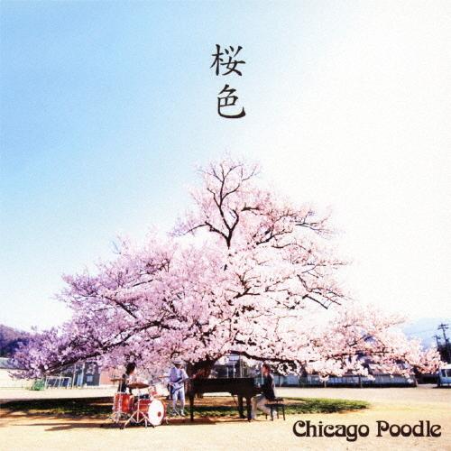 [枚数限定][限定盤]桜色(初回限定盤)/Chicago Poodle[CD+DVD]【返品種別A】