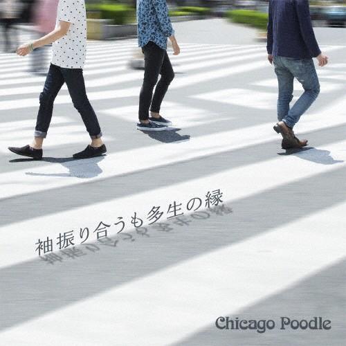 袖振り合うも多生の縁/Chicago Poodle[CD]【返品種別A】